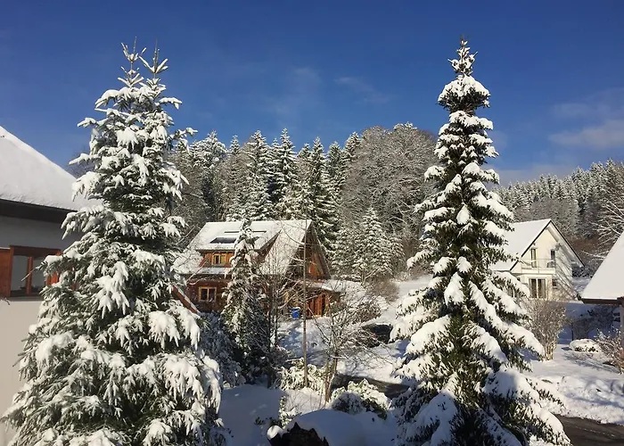 Blackforest Life